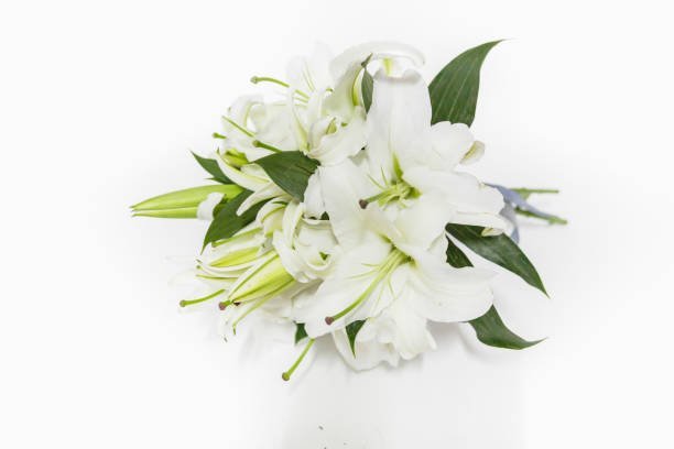 Flores mais usadas em decoração de casamento