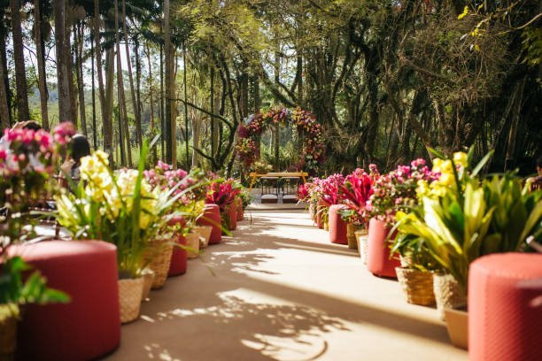 Casamento com responsabilidade ambiental: harmonia